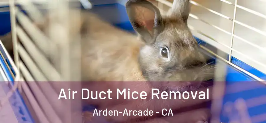  Air Duct Mice Removal Arden-Arcade - CA