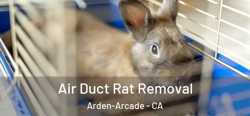  Air Duct Rat Removal Arden-Arcade - CA