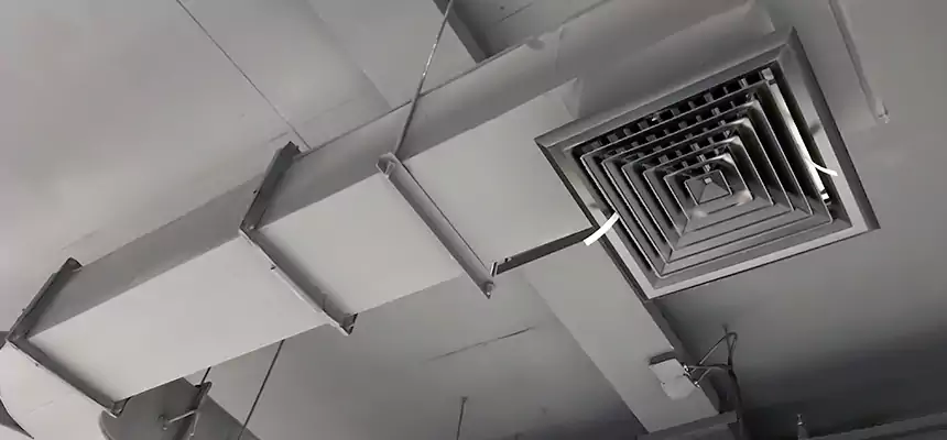 Restorative Allergy Relief Vent Cleaning – Coil, Blower & Housing Detail in Arden-Arcade