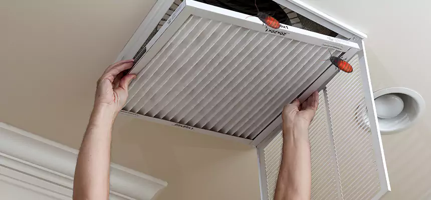 Our Insect Removal from Air Ducts Services in Arden-Arcade, CA