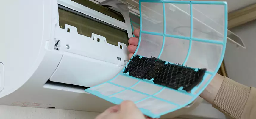 Gentle Ductwork Odor-Control Pet Dander Duct Cleaning in Arden-Arcade, CA