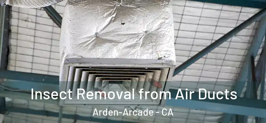  Insect Removal from Air Ducts Arden-Arcade - CA