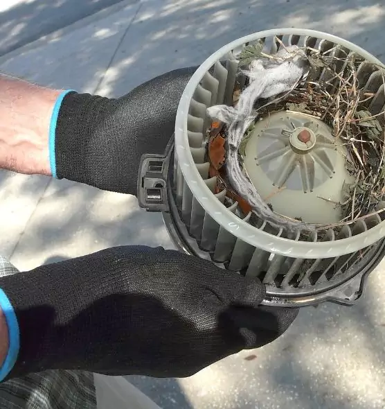 About Air Duct Mice Removal in Arden-Arcade, CA