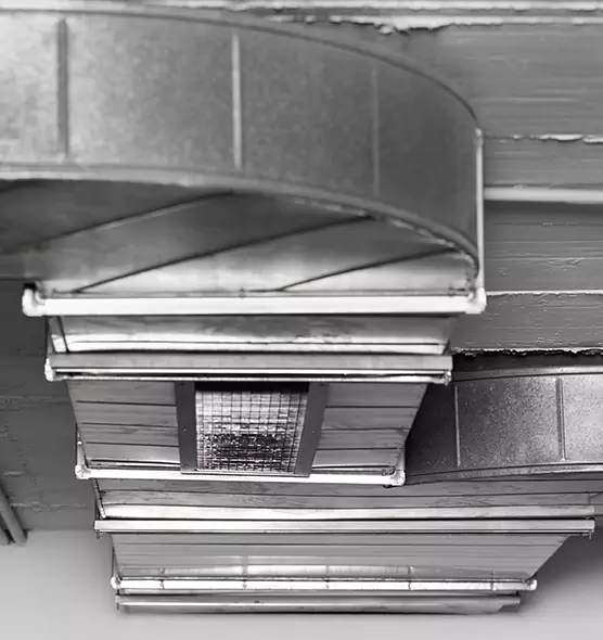 Professional Air Duct Pest Removal in Arden-Arcade, CA