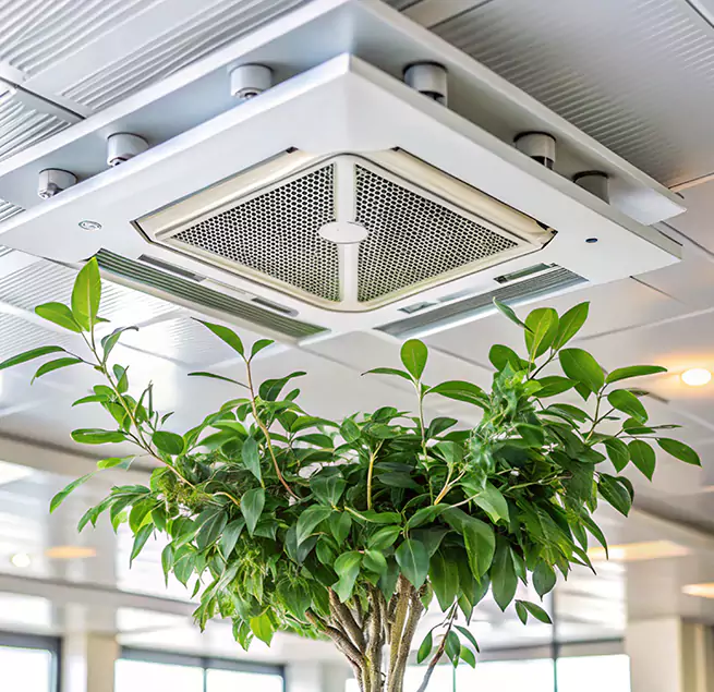 Why Homeowners & Businesses Trust Us in Arden-Arcade, CA?