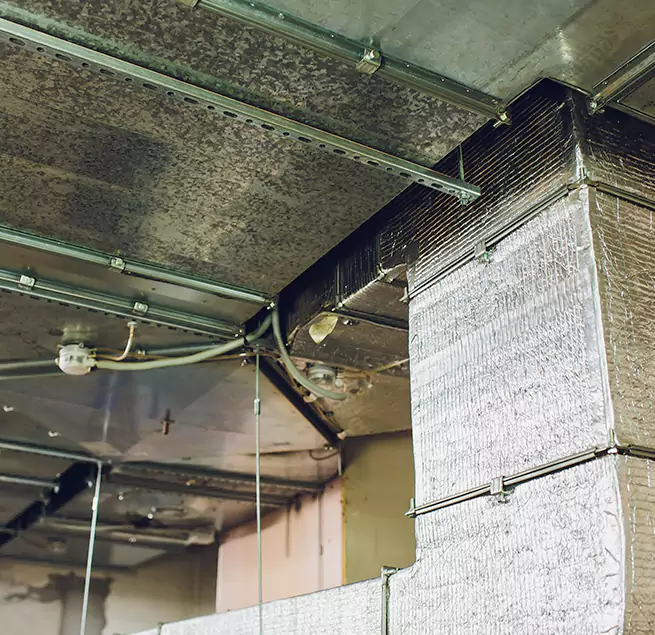 Why Homeowners & Businesses Trust Us in Arden-Arcade, CA?